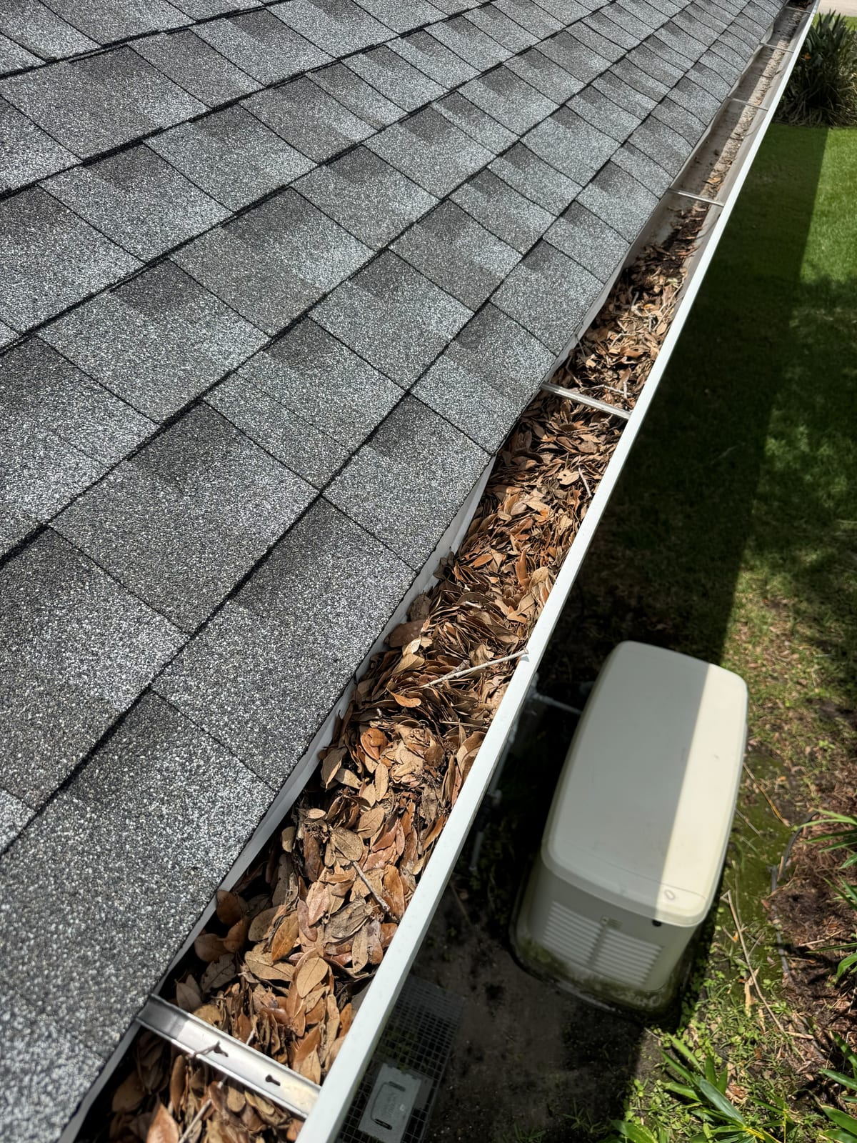 Clogged Gutter Before Cleaning