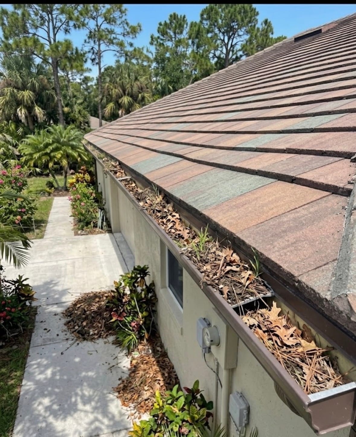 Debris-Filled Roof Gutter