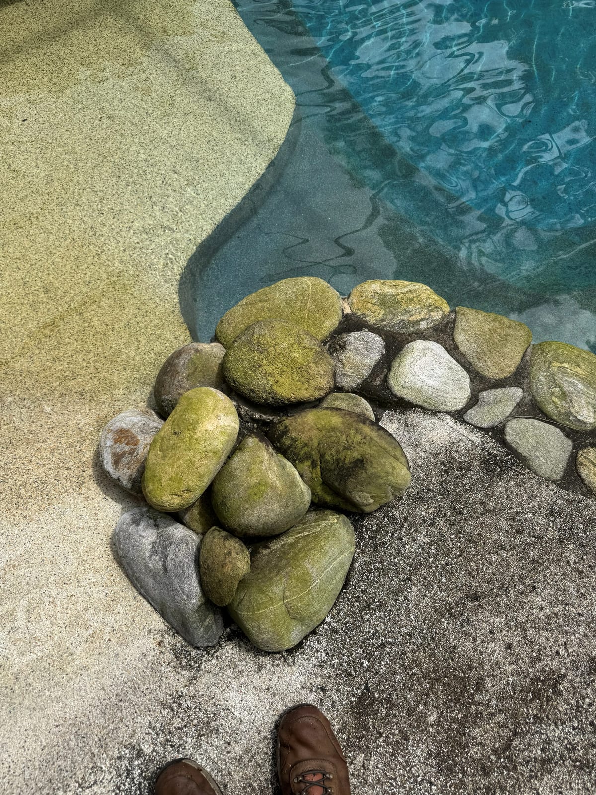 Pool Deck Algae Removal
