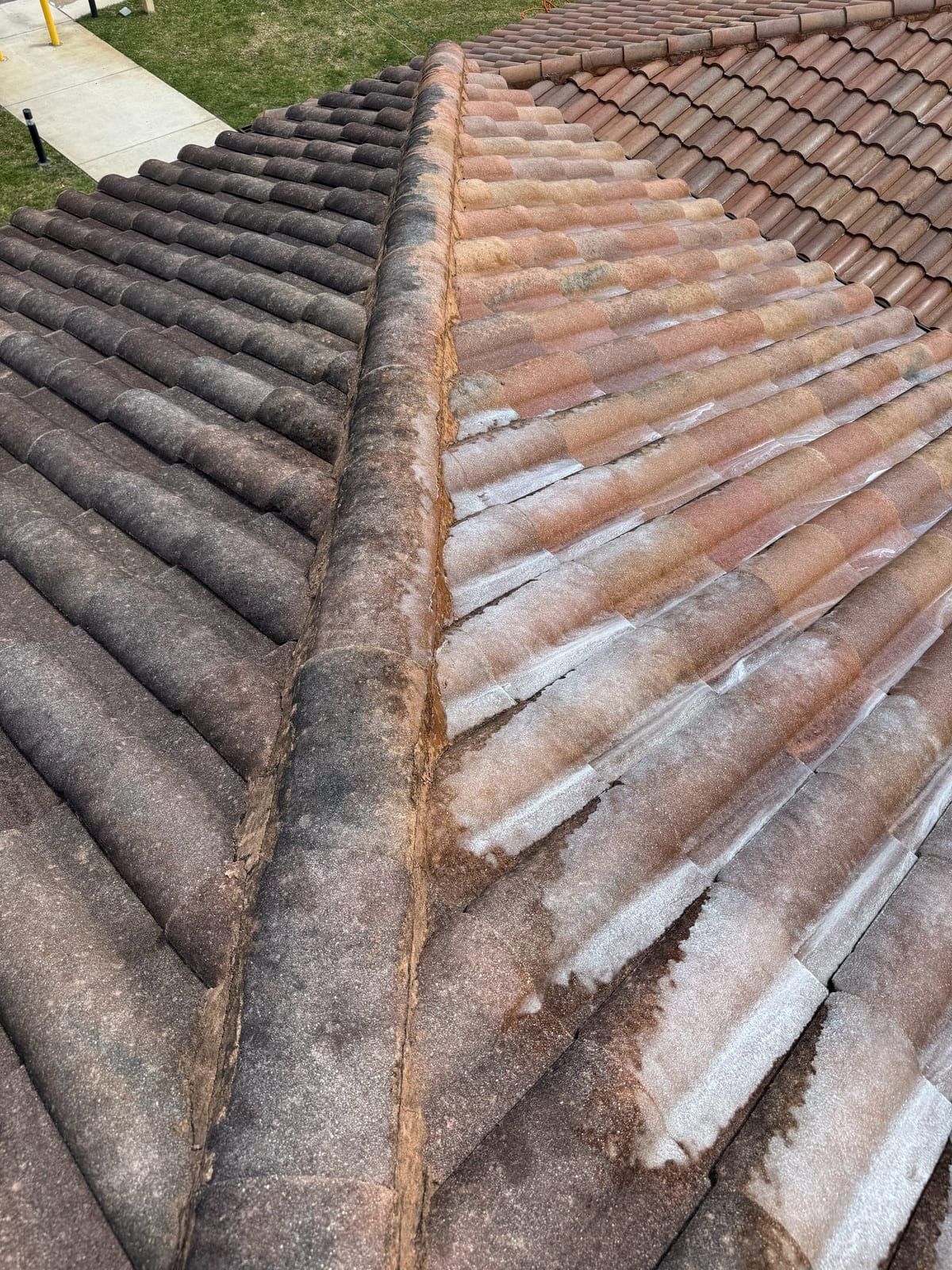 Tile Roof Soft Wash