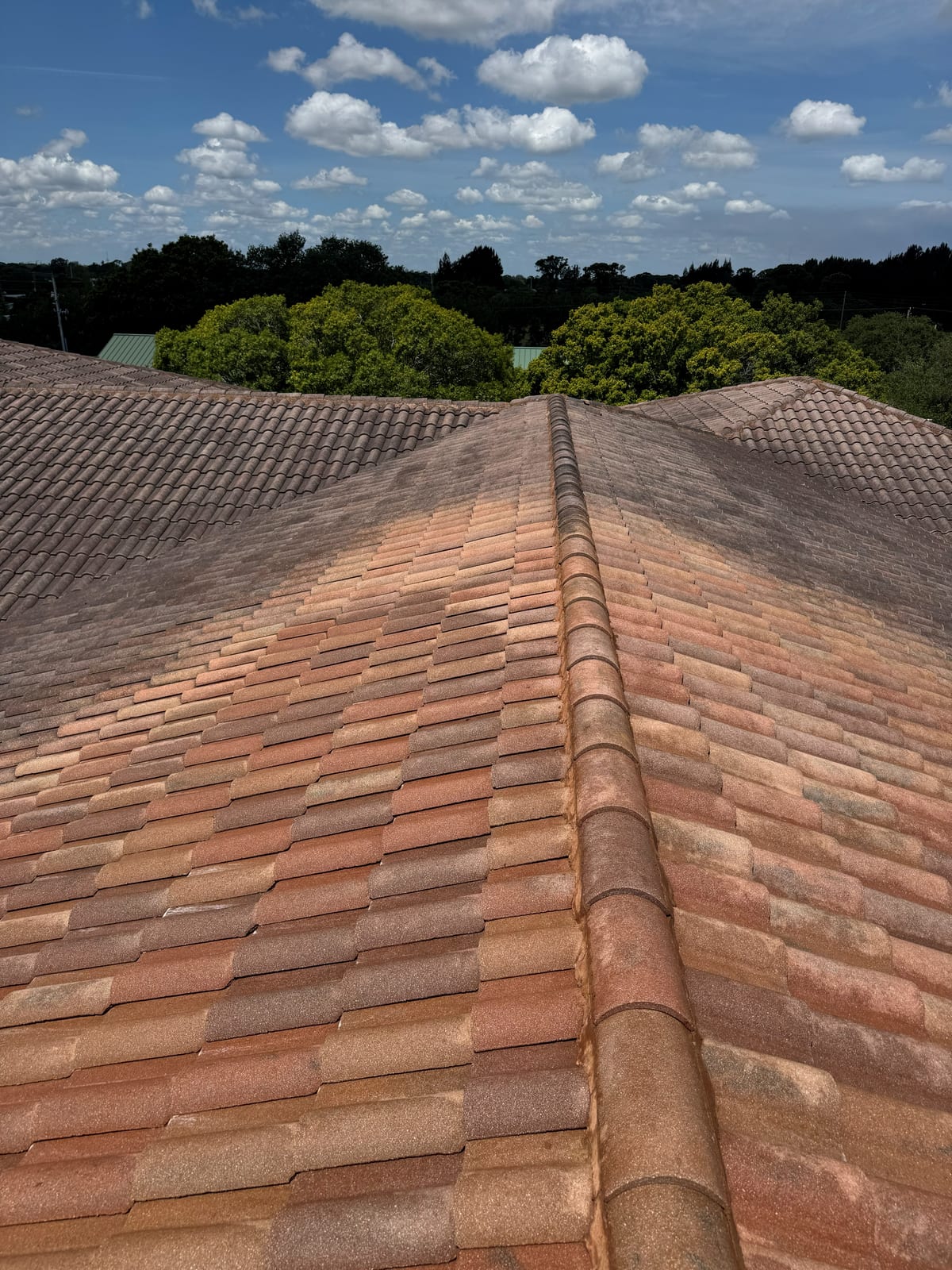 Roof Cleaning in Suntree