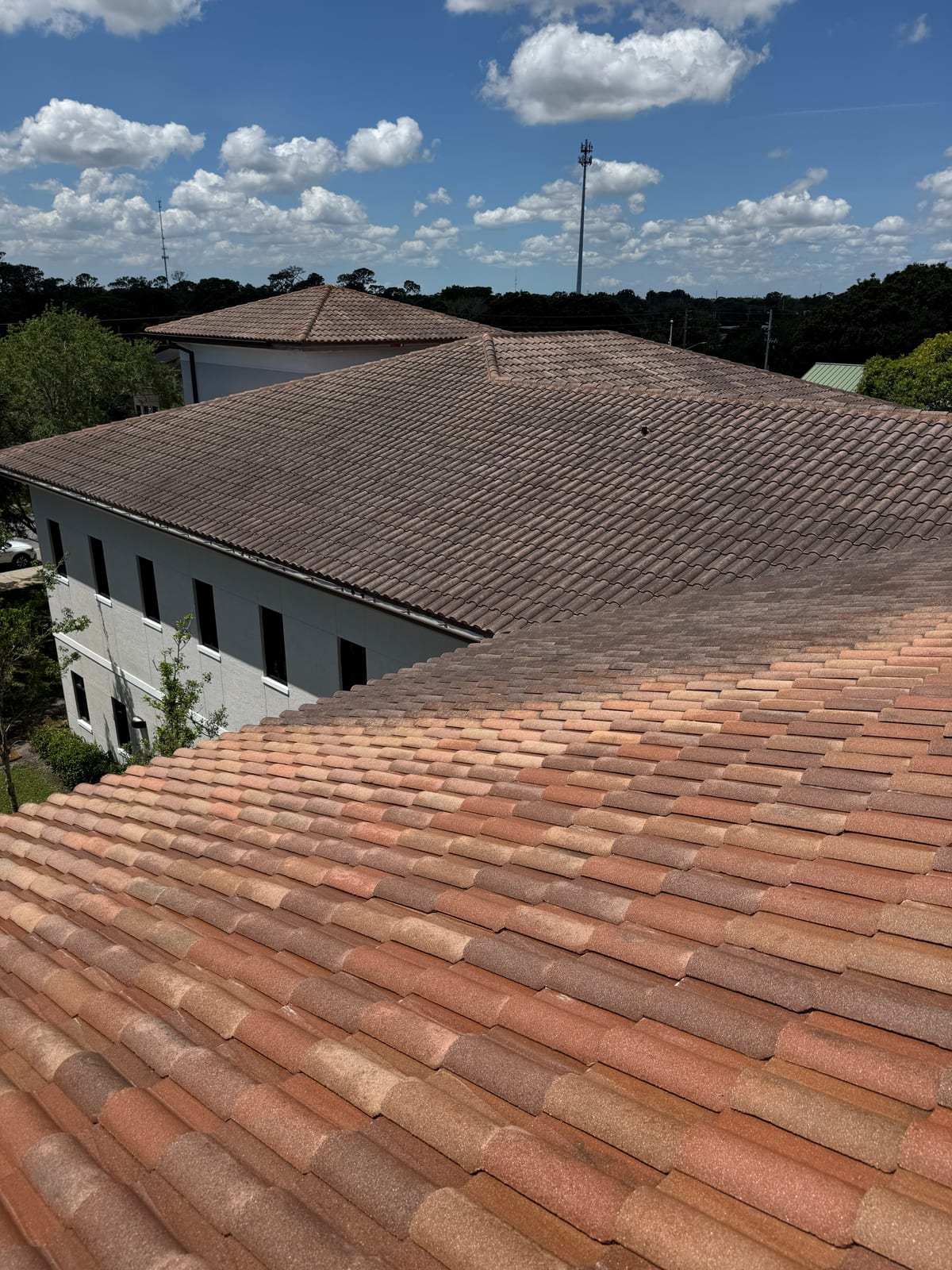 Tile Roof Cleaning