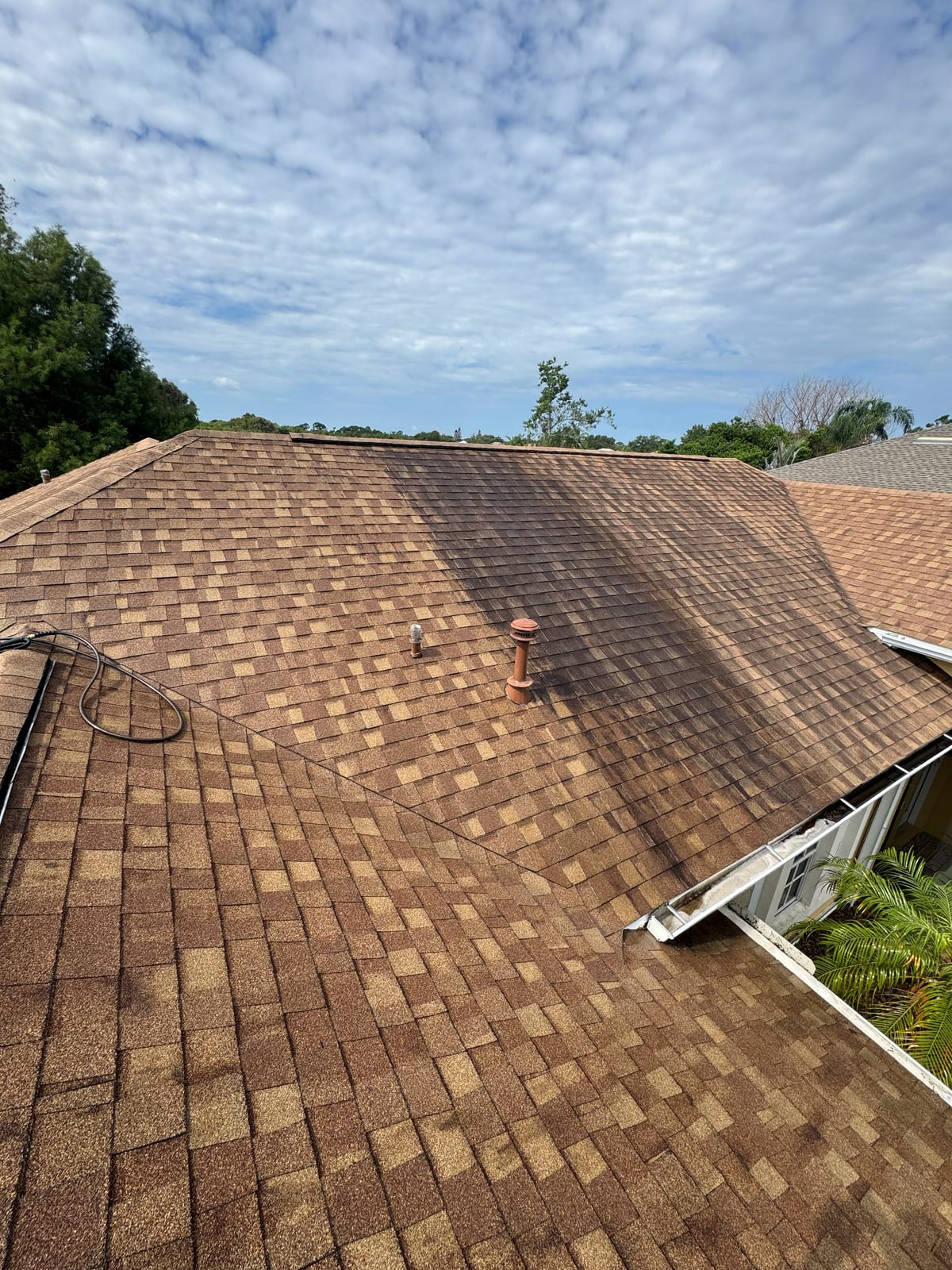 Shingle Roof Cleaning