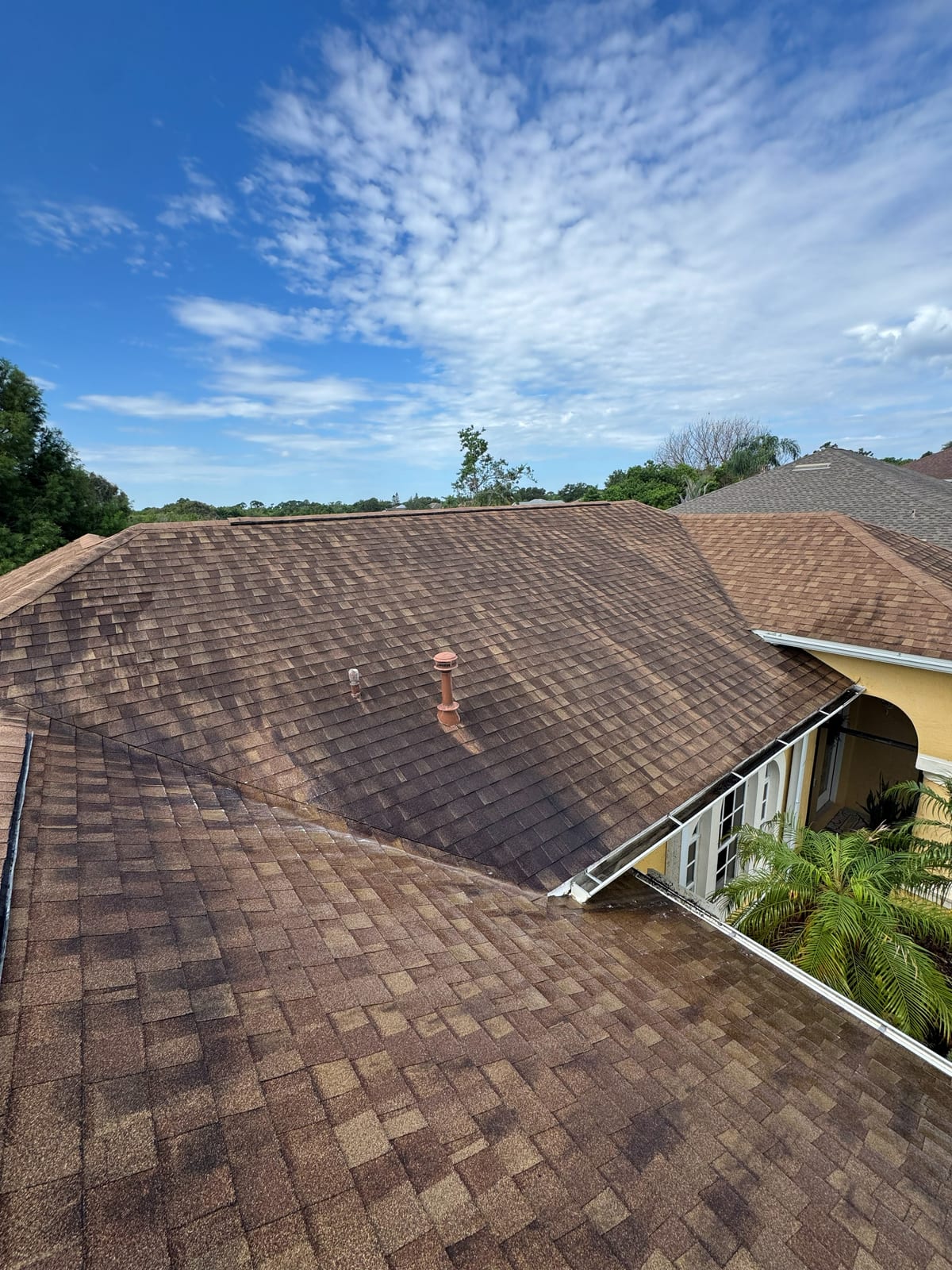 Shingle Roof Soft Wash