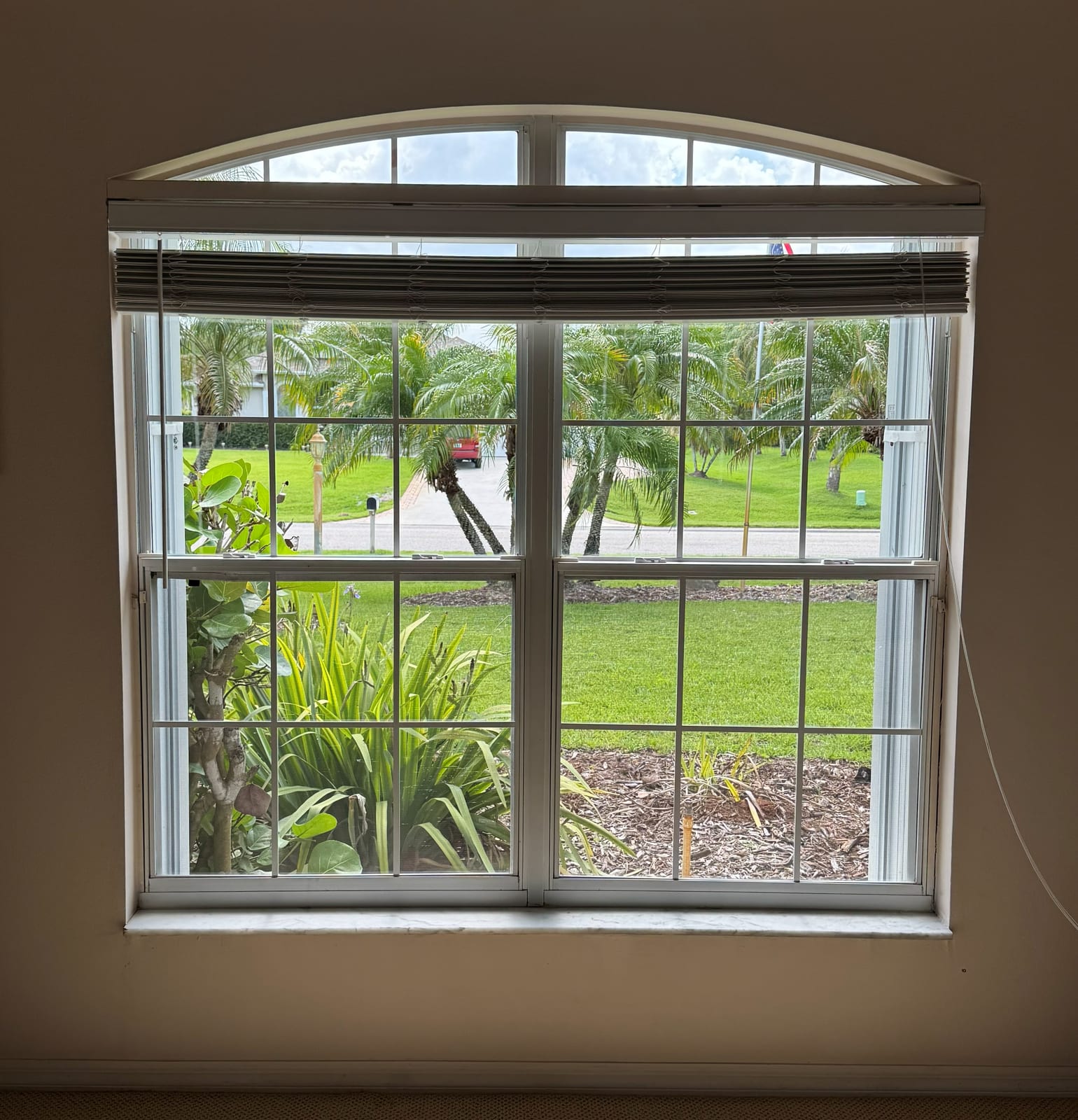 Arched Picture Window