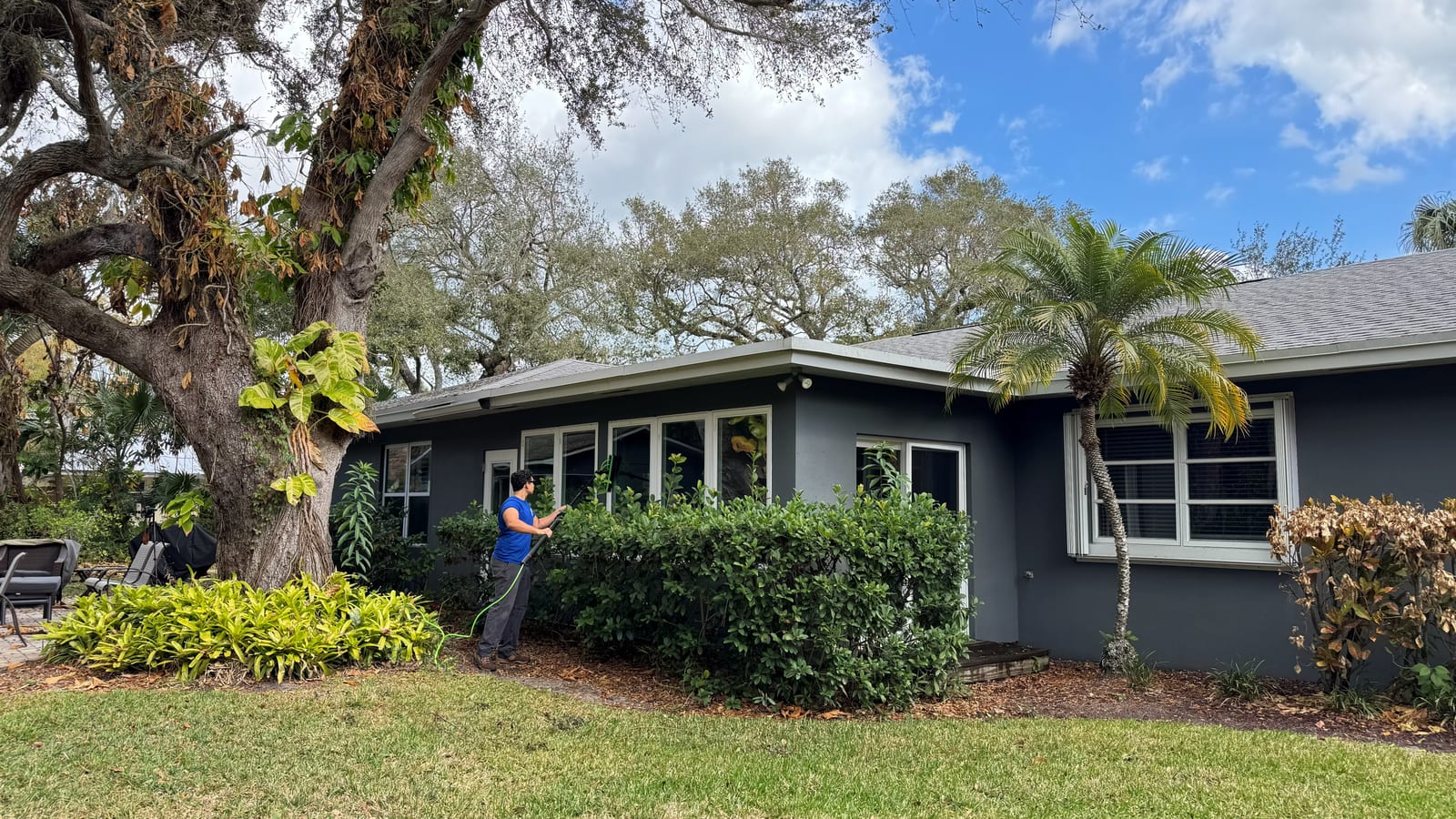 Exterior Window Service