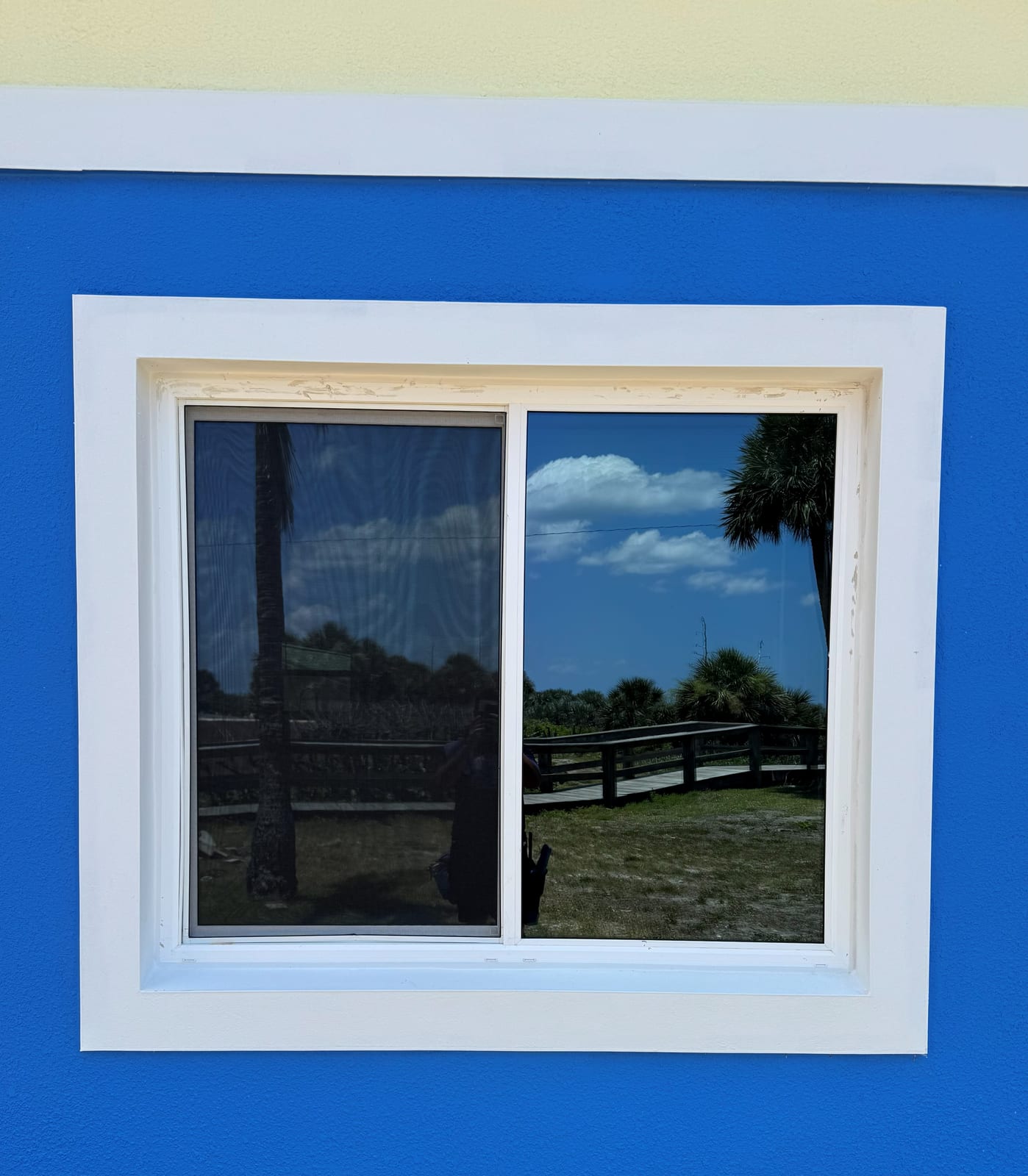 Freshly Cleaned Window