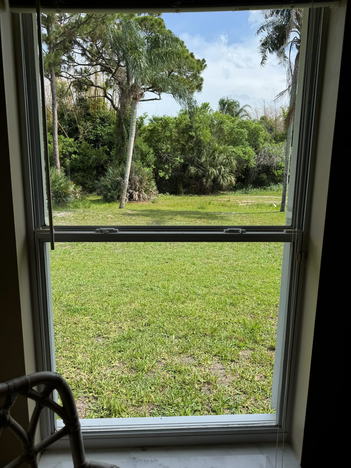 Window Cleaning in Indialantic